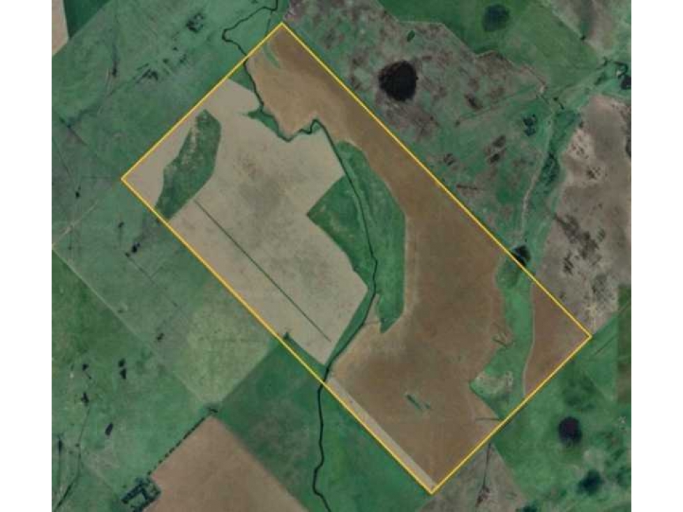 CAMPO AGRICOLA 305 HECTAREAS, DAIREAUX, BUENOS AIRES, ARGENTINA - 6