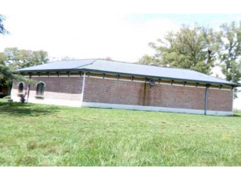 CAMPO AGRICOLA DE 300 HAS,EN CAPITAN SARMIENTO, BUENOS AIRES,ARGENTINA - 5