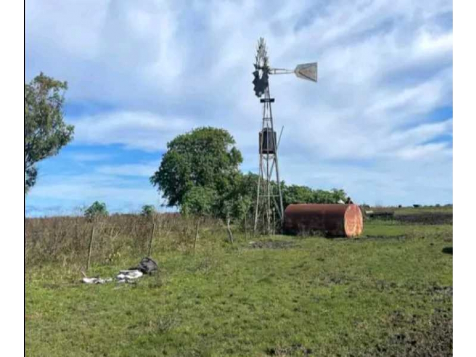 CAMPO CONCORDIA, ENTRE RIOS, ARGENTINA - 2