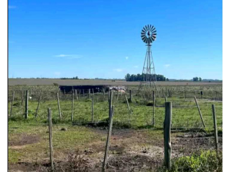 CAMPO CONCORDIA, ENTRE RIOS, ARGENTINA - 3