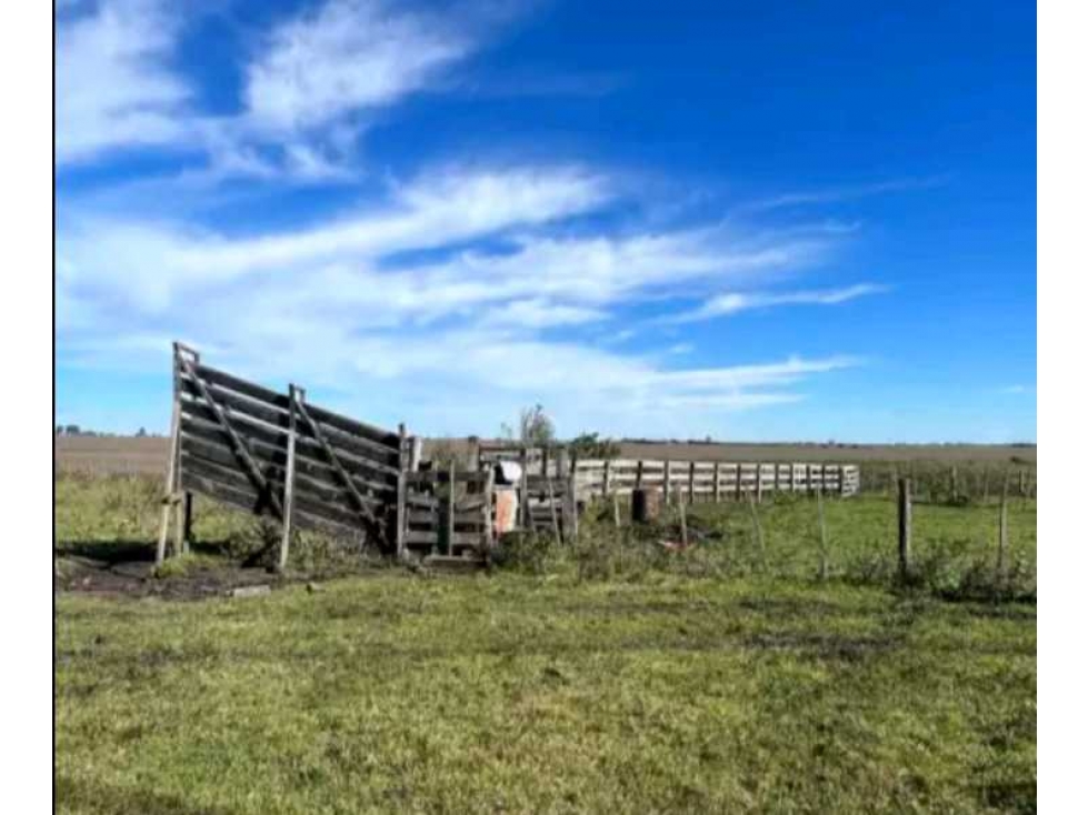 CAMPO CONCORDIA, ENTRE RIOS, ARGENTINA - 5