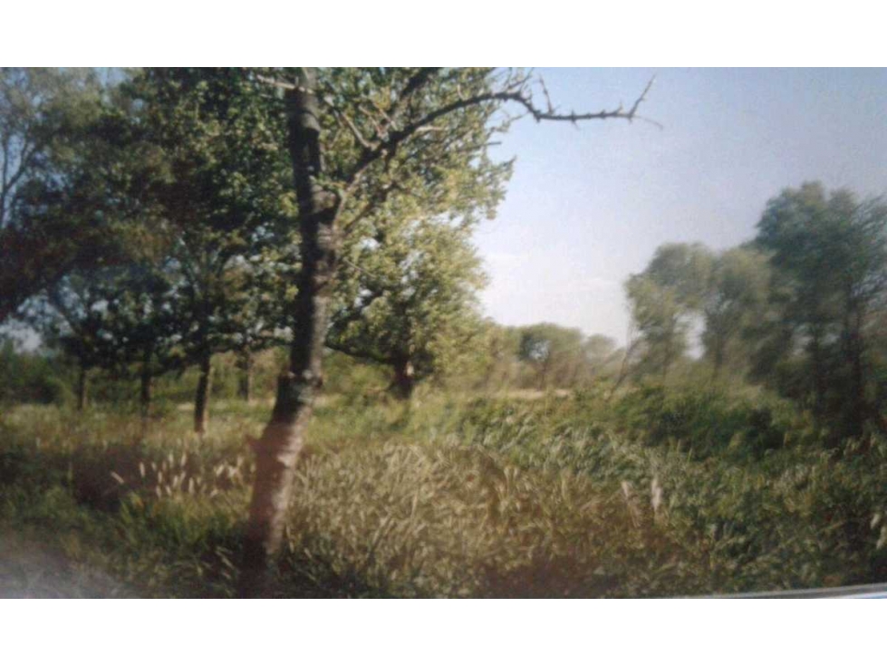 CAMPO 690 HAS, GANADERAS, OJO DE AGUA, STGO.DEL ESTERO, ARGENTINA - 1
