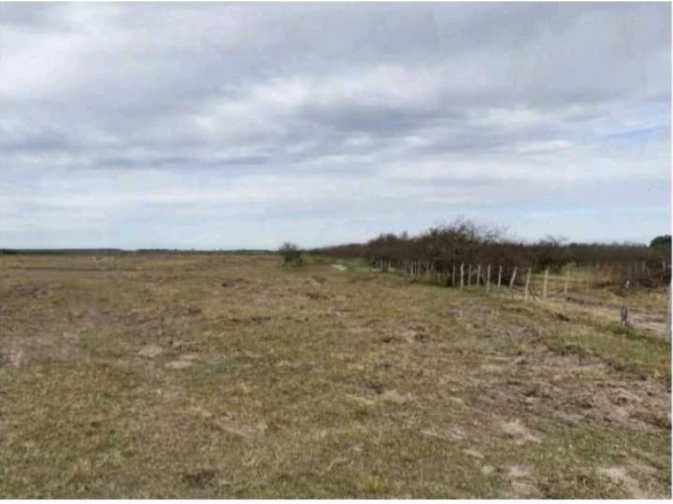 CAMPO DE 115 HAS MIXTO, SAN SALVADOR, ENTRE RIOS, ARGENTINA - 2