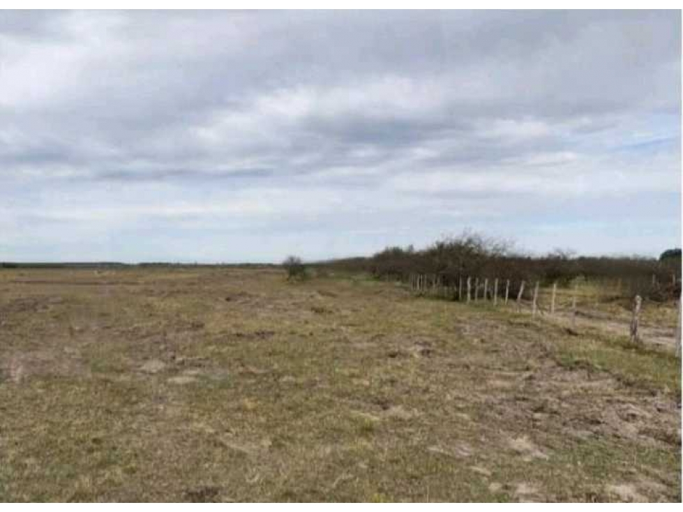 CAMPO DE 115 HAS MIXTO, SAN SALVADOR, ENTRE RIOS, ARGENTINA - 3