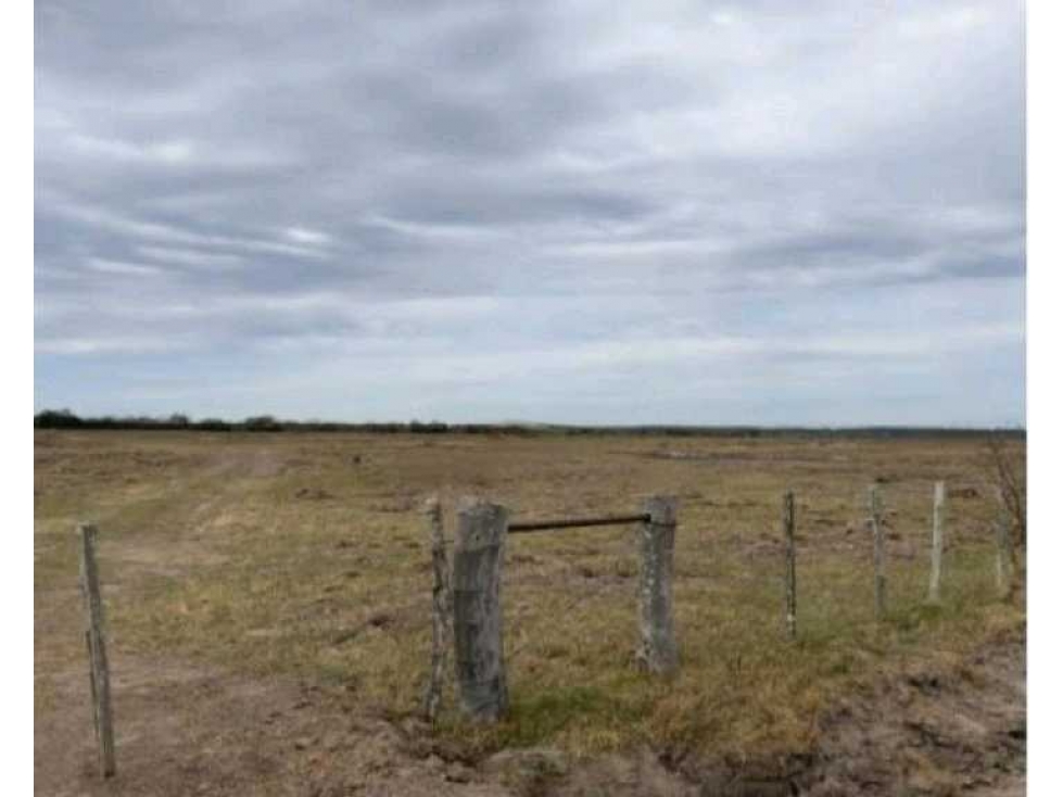 CAMPO DE 115 HAS MIXTO, SAN SALVADOR, ENTRE RIOS, ARGENTINA - 4