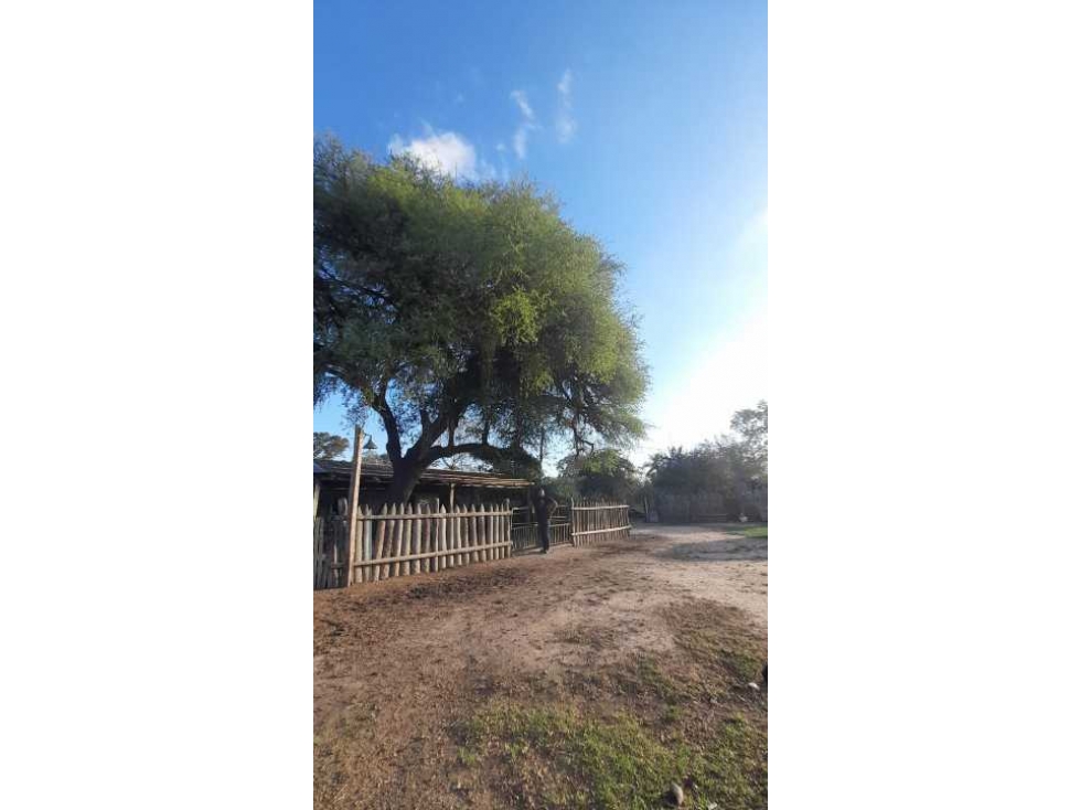 Campo en Mariano Boedo Formosa - 1