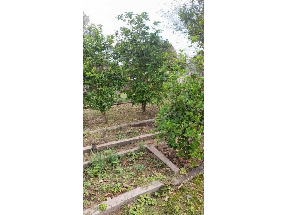 Campo en Mariano Boedo Formosa - 2