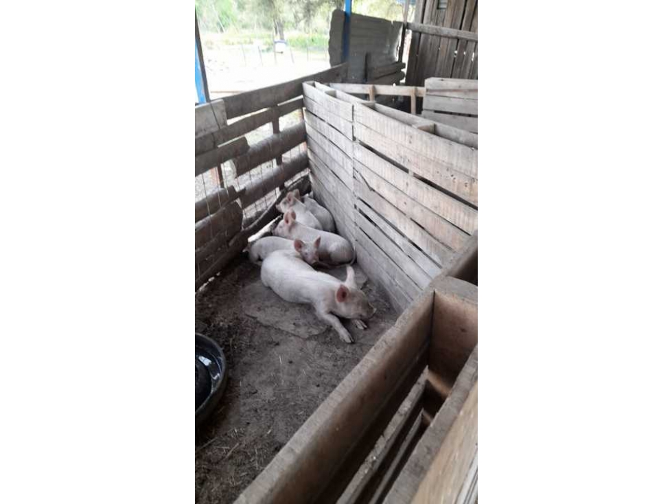 Campo en Mariano Boedo Formosa - 4