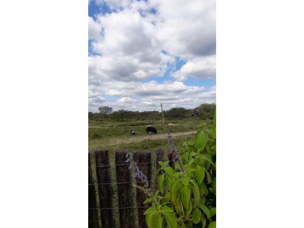 Campo en Mariano Boedo Formosa - 6