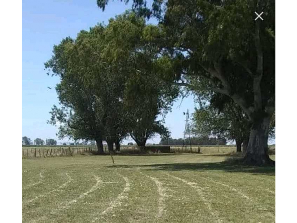 CAMPO 25 HECTAREAS, MIXTO, OLAVARRIA, BUENOS AIRES, ARGENTINA - 2