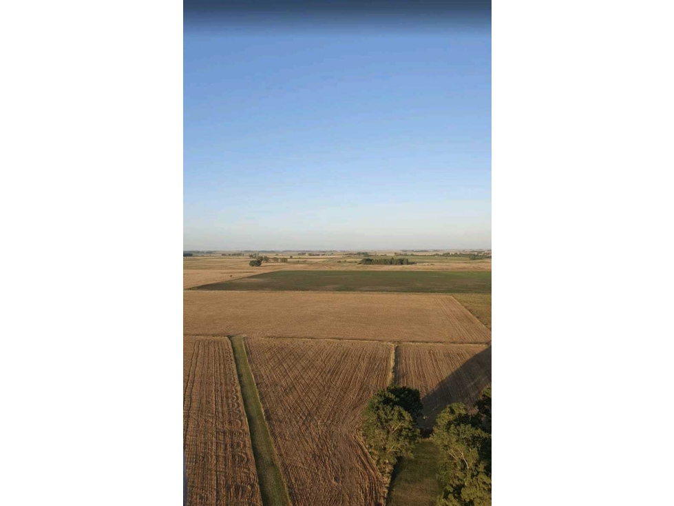 CAMPO 25 HECTAREAS, MIXTO, OLAVARRIA, BUENOS AIRES, ARGENTINA - 5