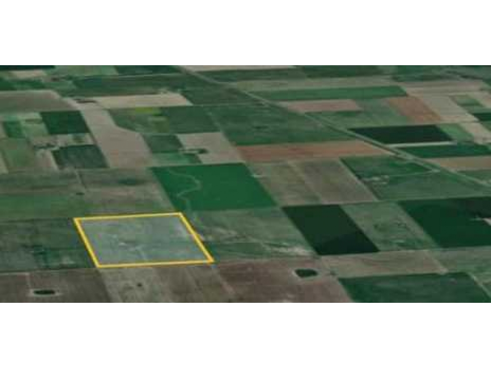 CAMPO 44 HECTAREAS, AGRICOLA, PERGAMINO, BUENOS AIRES, ARGENTINA - 2