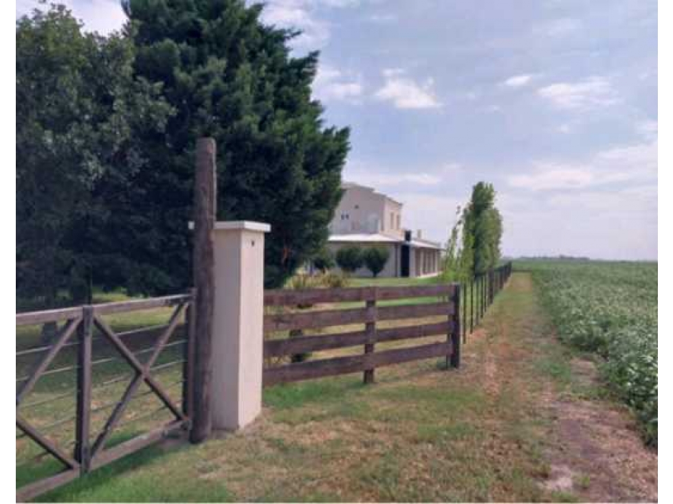 CAMPO EN PERGAMINO, PCIA DE BUENOS AIRES, ARGENTINA - 1