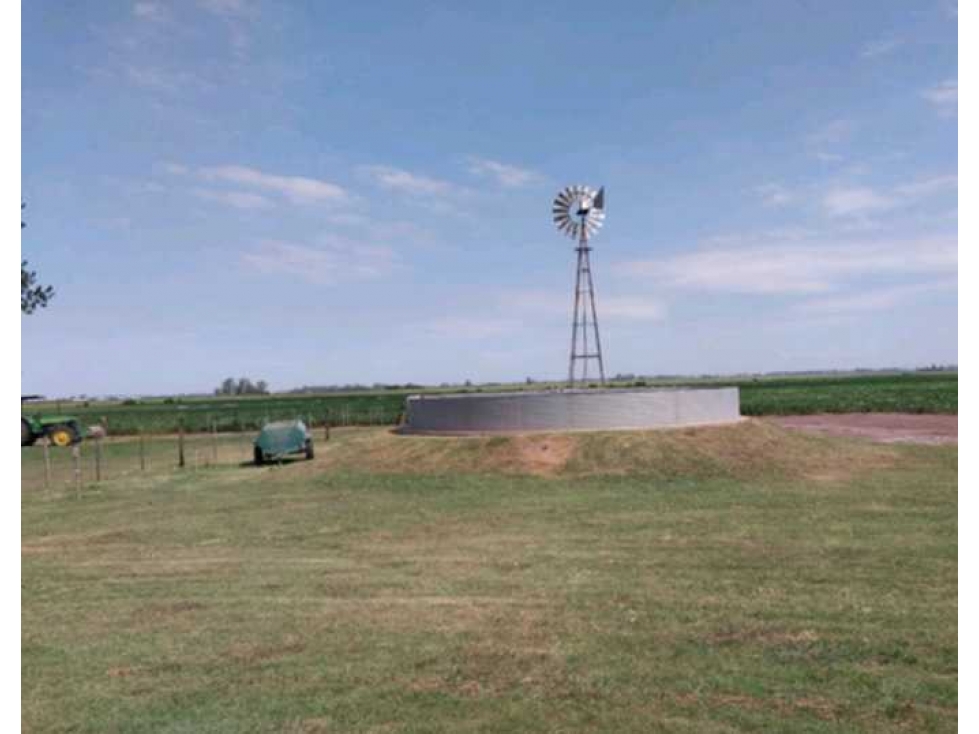 CAMPO EN PERGAMINO, PCIA DE BUENOS AIRES, ARGENTINA - 3