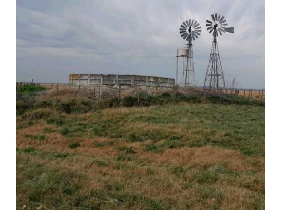 CAMPO 1025 HECTAREAS, SALADILLO, PCIA.BUENOS AIRES, ARGENTINA - 4