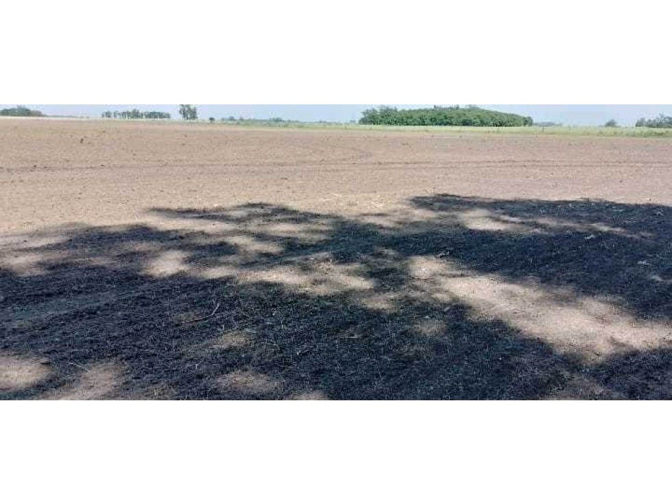 CAMPO EN SAN ANTONIO DE ARECO, PCIA BUENOS AIRES, ARGENTINA - 5