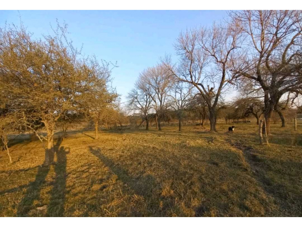 CAMPO EN UBAJAY, COLON, ENTRE RIOS, ARGENTINA - 2