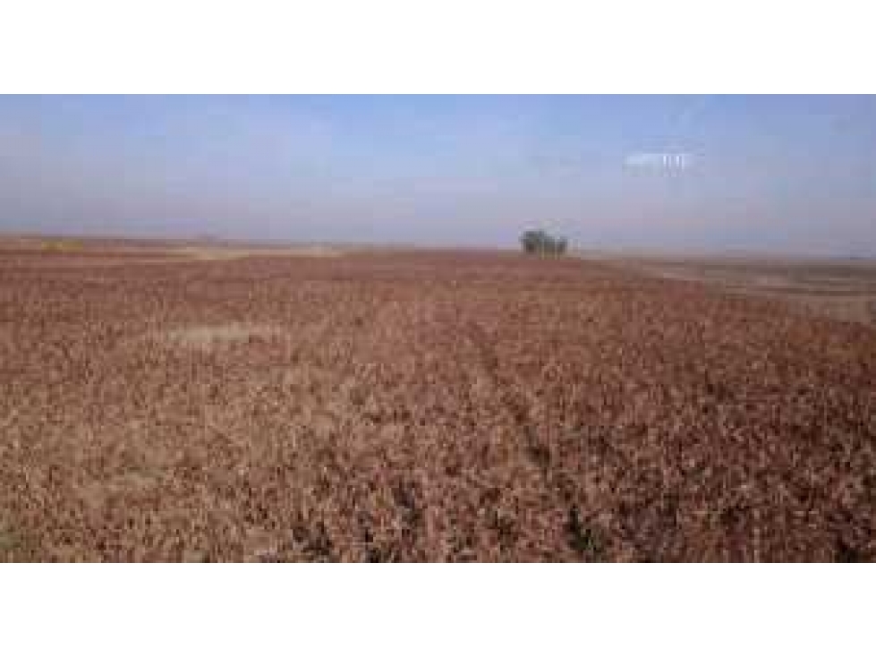 CAMPO GANADERO 3485 HECTAREAS, TAPALQUE, BUENOS AIRES, ARGENTINA - 4