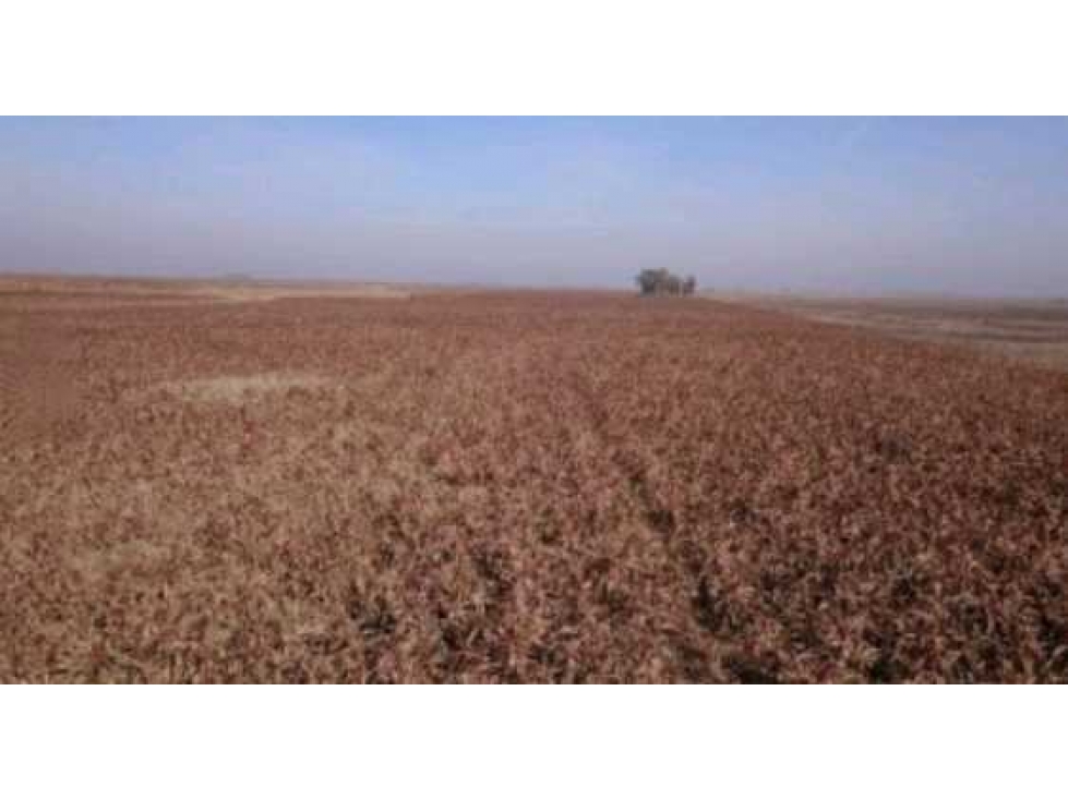 CAMPO GANADERO 3485 HECTAREAS, TAPALQUE, BUENOS AIRES, ARGENTINA - 6