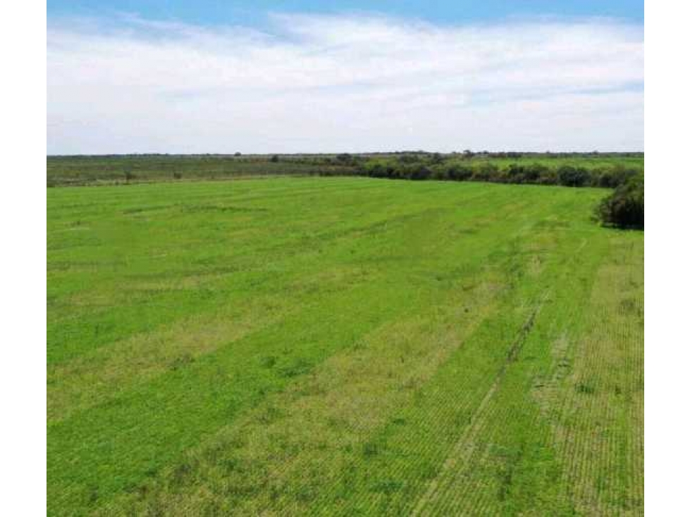 CAMPO 2658 HAS, MIXTO, LA PAZ, ENTRE RIOS, ARGENTINA - 2