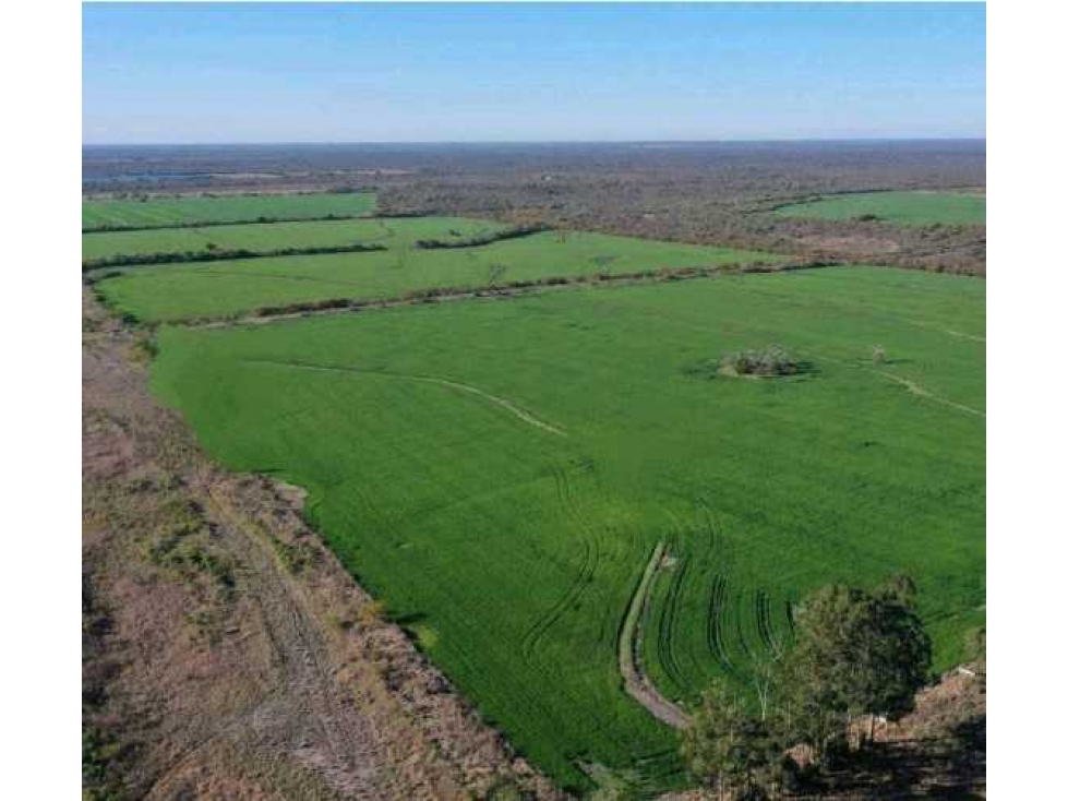CAMPO 2658 HAS, MIXTO, LA PAZ, ENTRE RIOS, ARGENTINA - 3