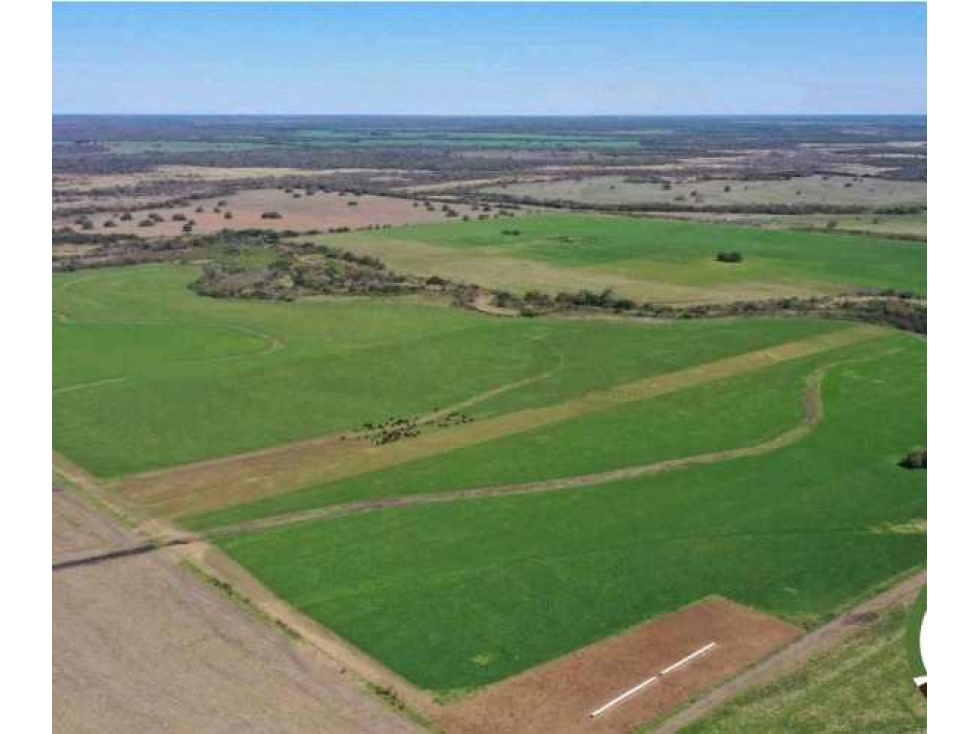 CAMPO 2658 HAS, MIXTO, LA PAZ, ENTRE RIOS, ARGENTINA - 4
