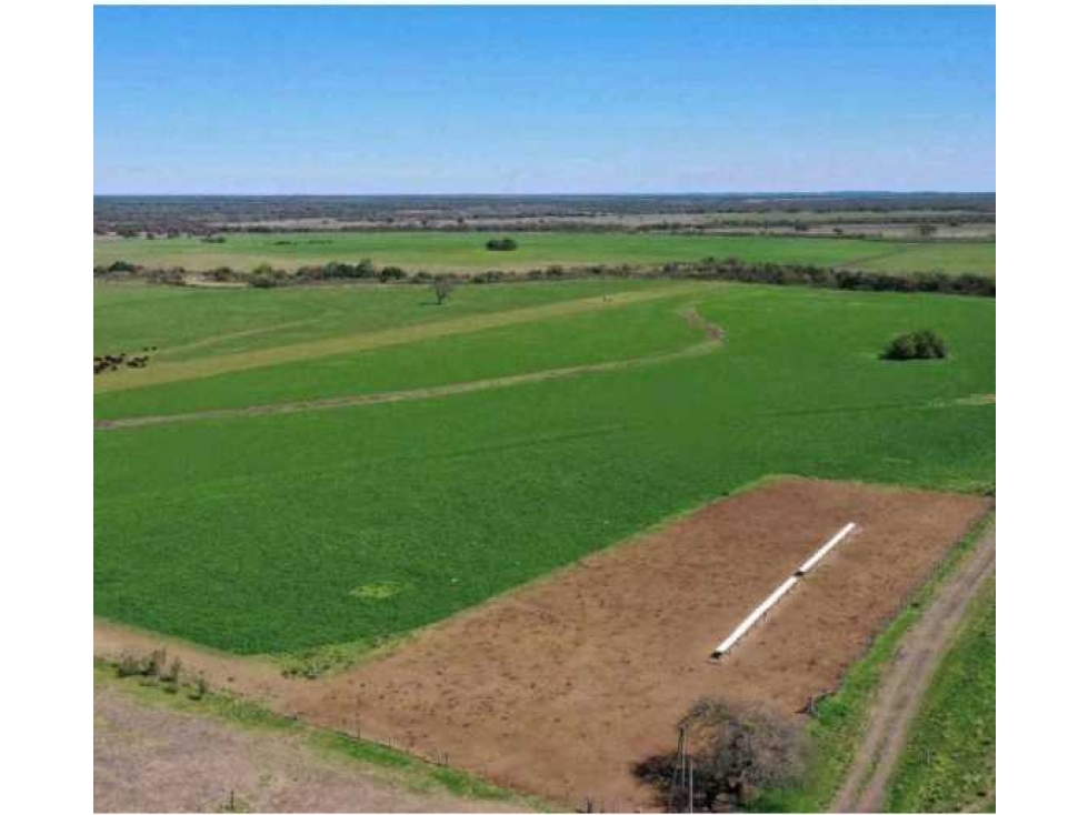 CAMPO 2658 HAS, MIXTO, LA PAZ, ENTRE RIOS, ARGENTINA - 6