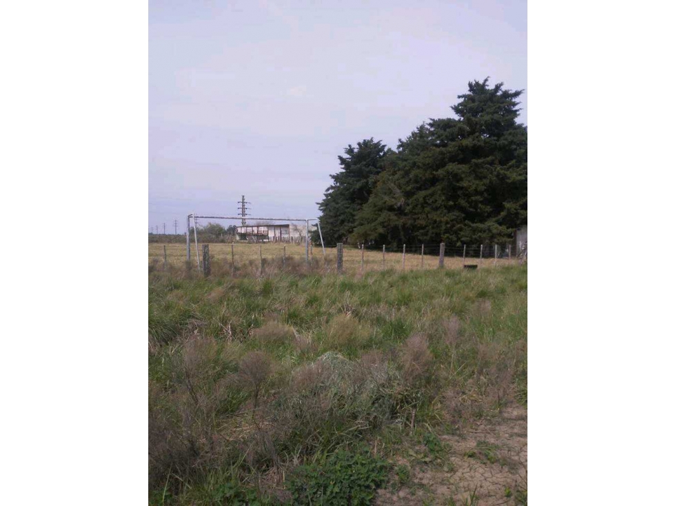 CAMPO, PUNTA INDIO, BUENOS AIRES, ARGENTINA - 2