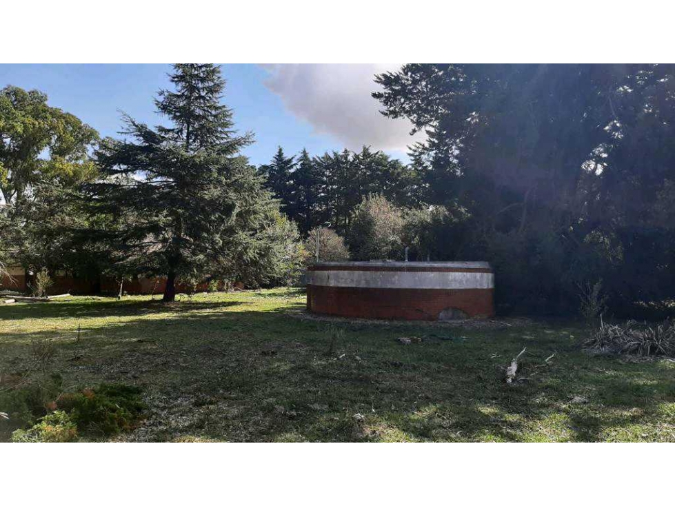 CAMPO, PUNTA INDIO, BUENOS AIRES, ARGENTINA - 5