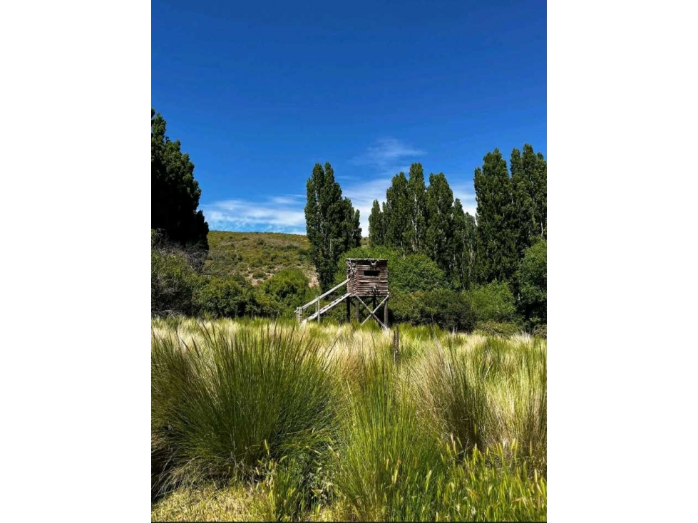 CAMPO SAN MARTIN DE LOS ANDES, PROVINCIA NEUQUEN, ARGENTINA - 4