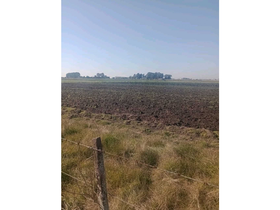 CAMPO SOBRE RUTA 2, LA PLATA, BUENOS AIRES, ARGENTINA - 3