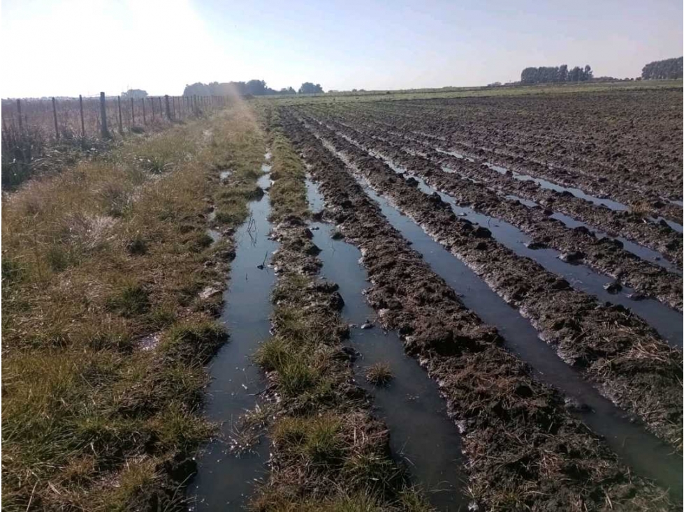 CAMPO SOBRE RUTA DOS, LA PLATA,BUENOS AIRES,ARGENTINA - 4