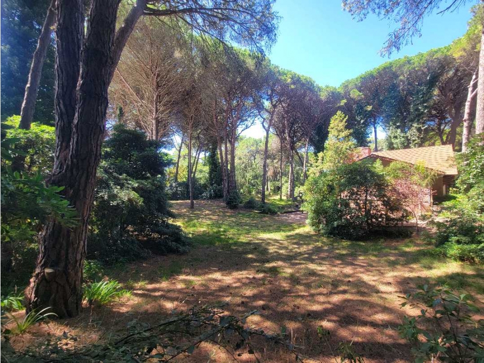 CARILO - LOTE EN VENTA - 1