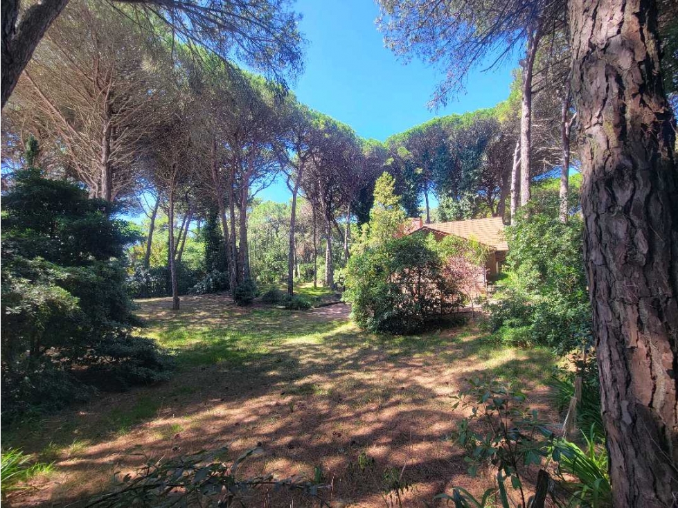 CARILO - LOTE EN VENTA - 2
