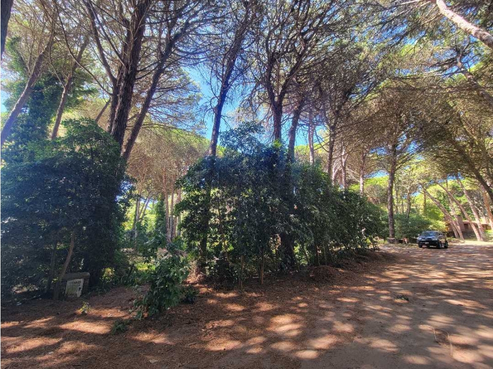 CARILO - LOTE EN VENTA - 4