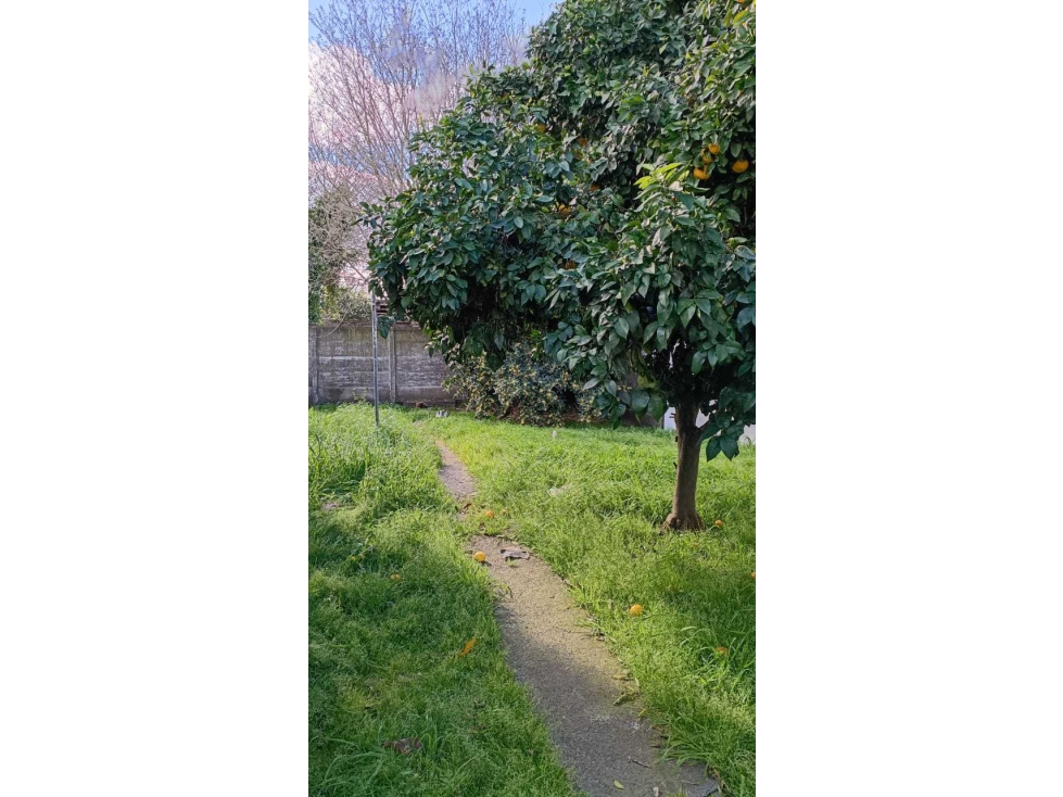 Casa a RECICLAR en venta en TANDIL — foto 2