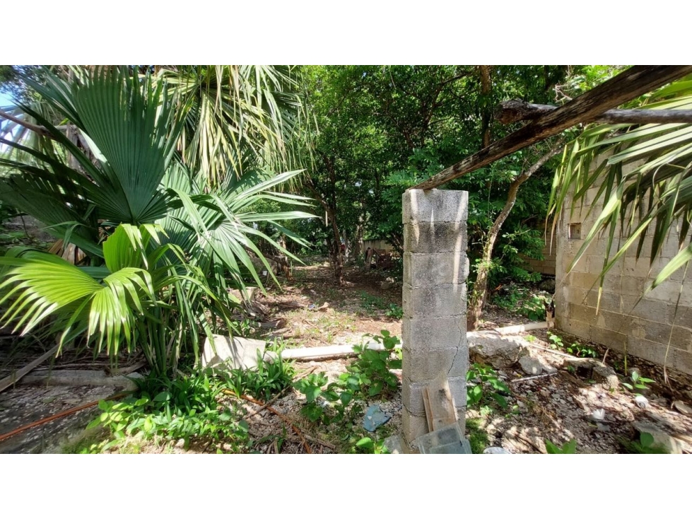 CASA BANQUETA - 5