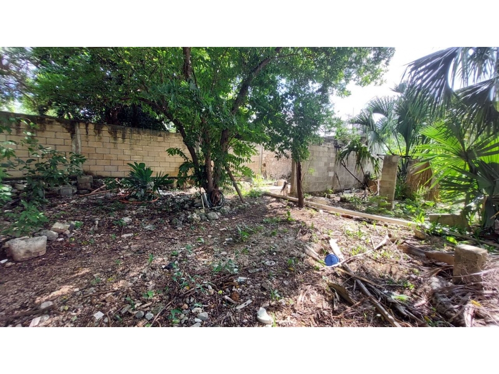 CASA BANQUETA - 6