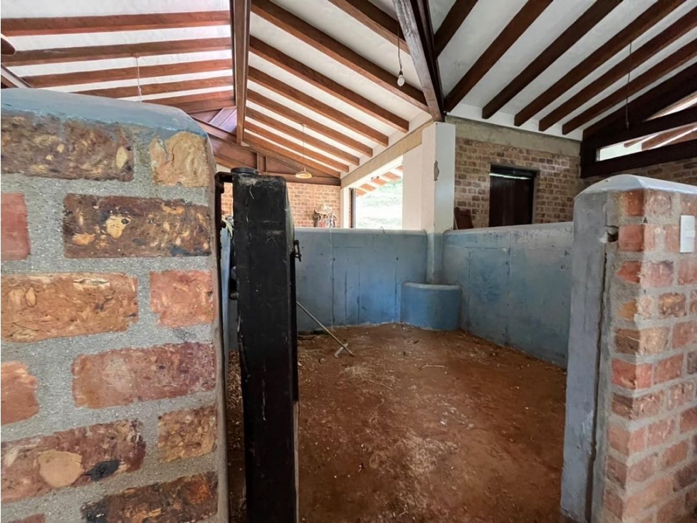 Casa Caballista para la Renta en Llanogrande sector Aeropuerto — foto 6