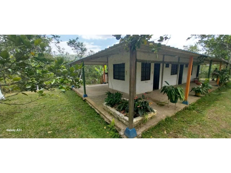 CASA CAMPESTRE EN GUACARI VALLE EN VENTA - 1