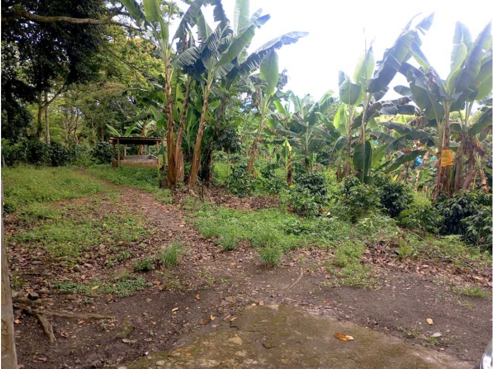 CASA CAMPESTRE A 10 MINUTOS DE ARMENIA / EN CIRCASIA Q. — foto 6