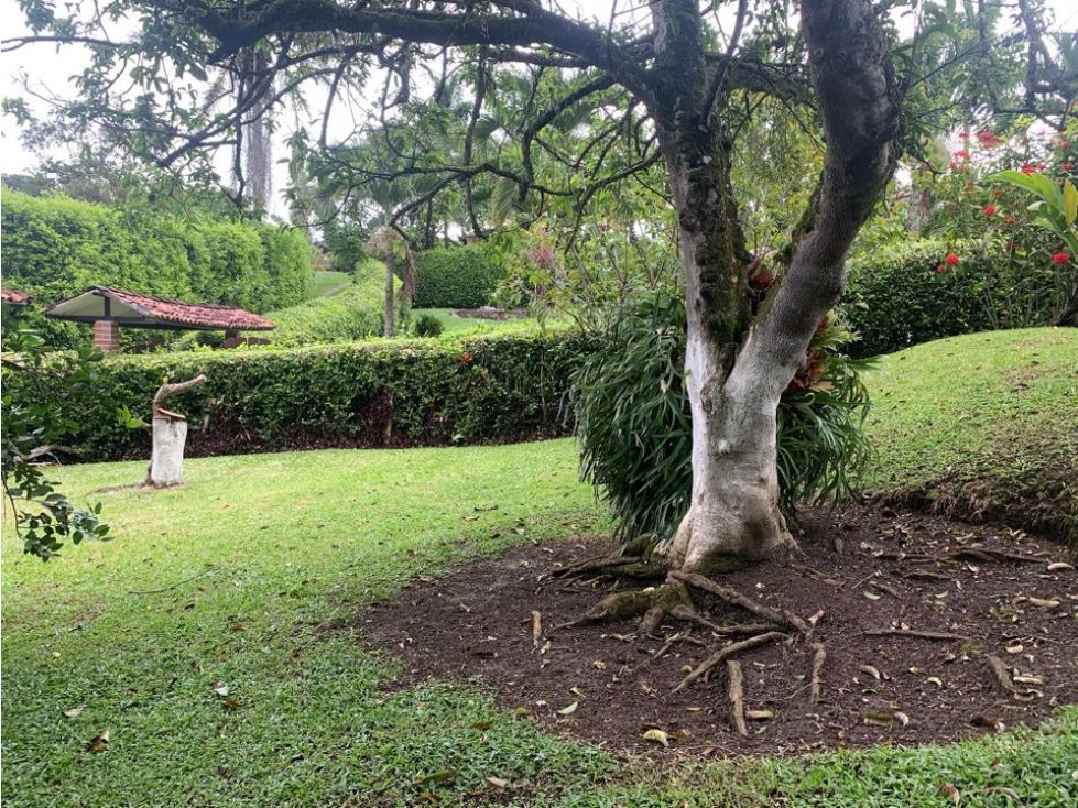 Casa Campestre Cambia Manizales Pereira - 4
