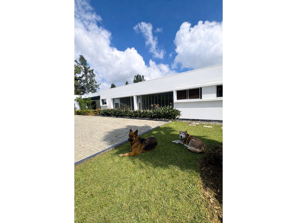 Casa independiente de 466 m² y 3000 m² terreno en el alto de palmas — foto 3