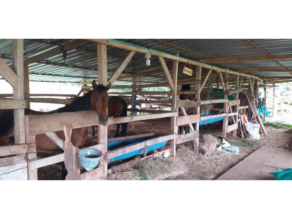 Casa Campestre en Venta en Combia, Pereira — foto 5