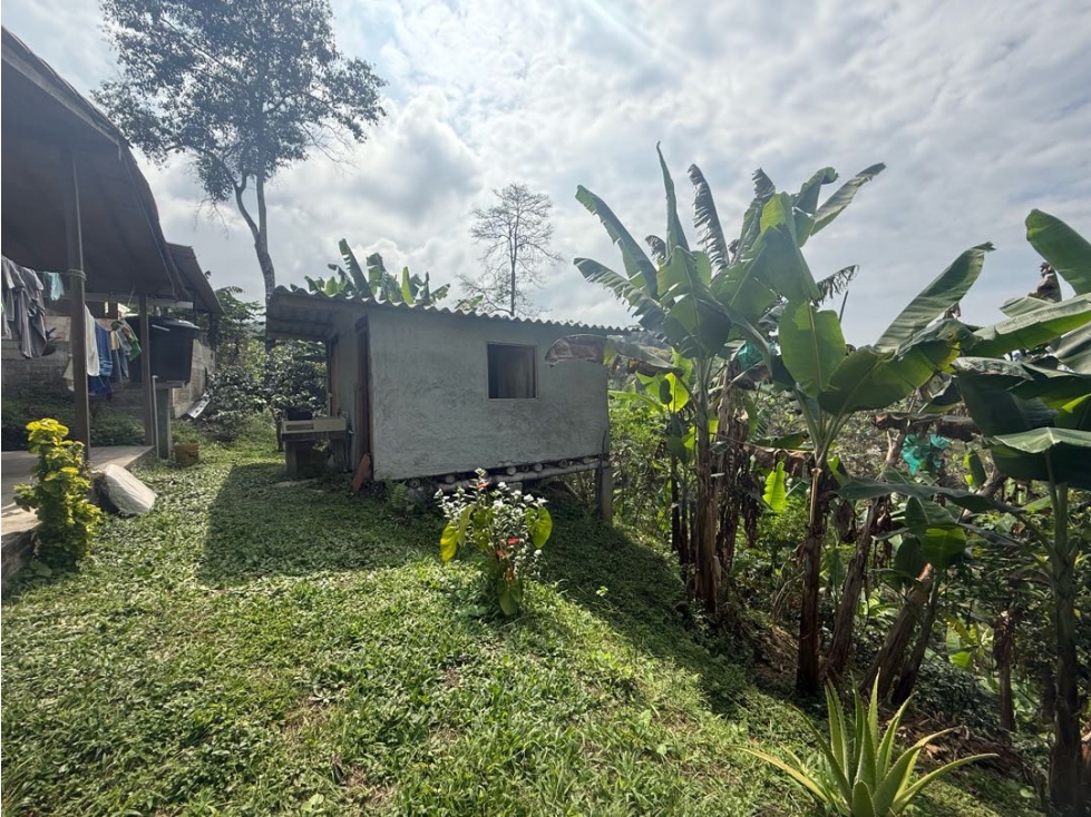 CASA CAMPESTRE EN QUIMBAYA - 4
