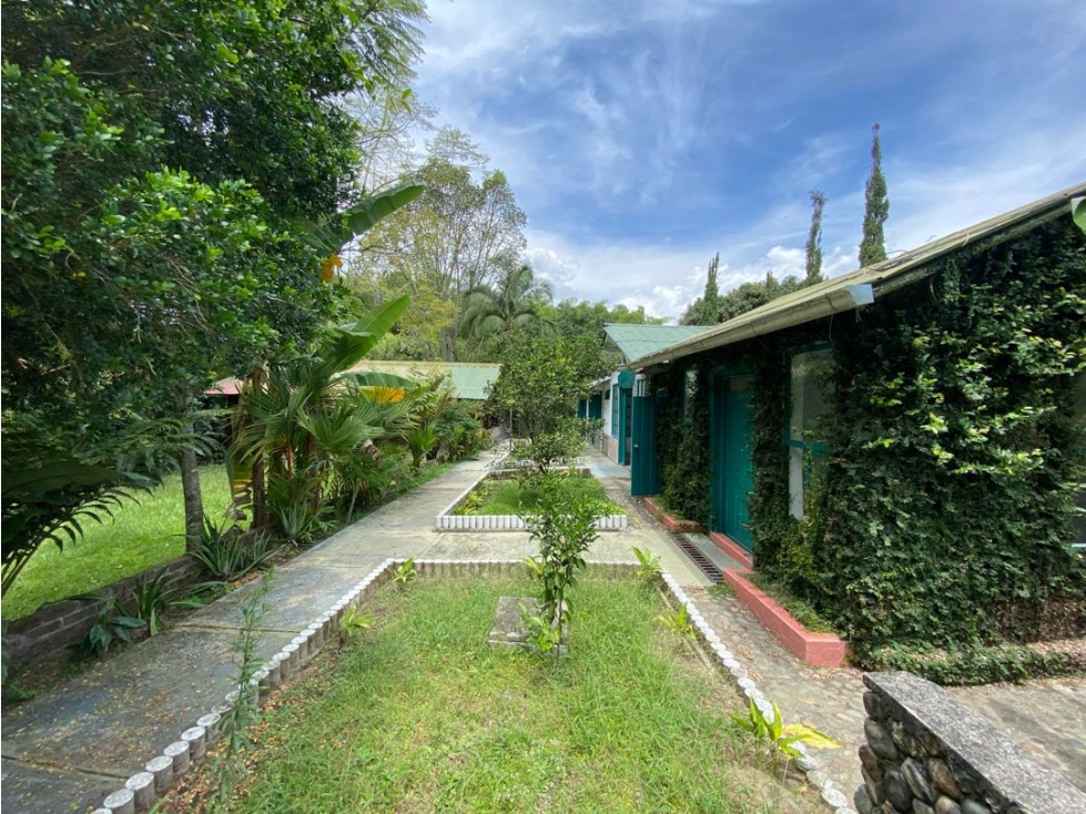 CASA COMERCIAL EN RENTA, CAMPESTRE ARMENIA - 1