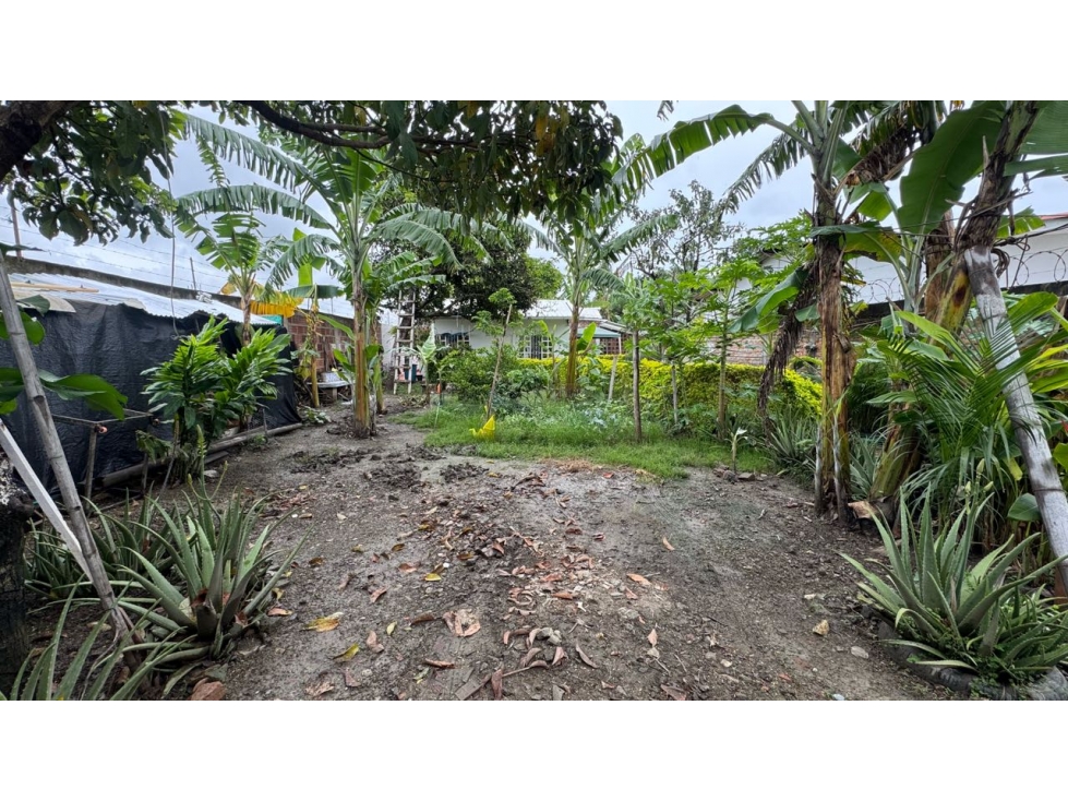 Casa campestre en venta - Rozo Palmira Valle Colombia — foto 4