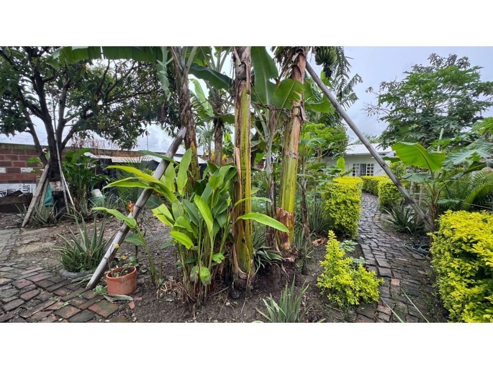 Casa campestre en venta - Rozo Palmira Valle Colombia — foto 5
