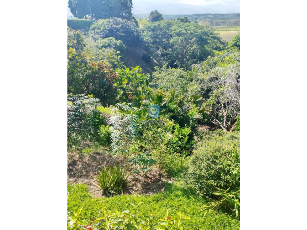 Casa campestre en venta en Cerritos, Pereira — foto 6