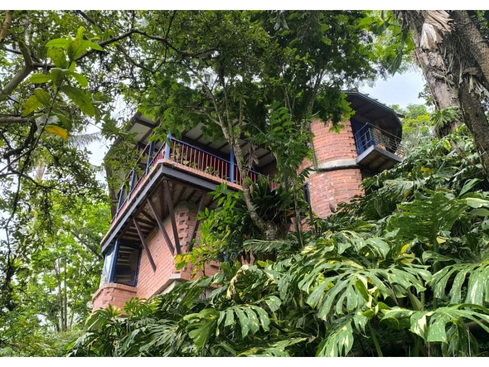 Investment Opportunity Country House for Sale near Manizales, Colombia — foto 3